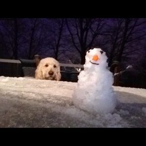 Meet your Posher, John